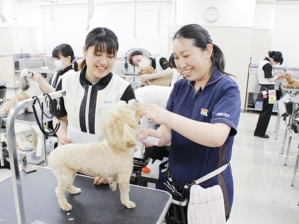 ☆お客様犬のトリミング☆